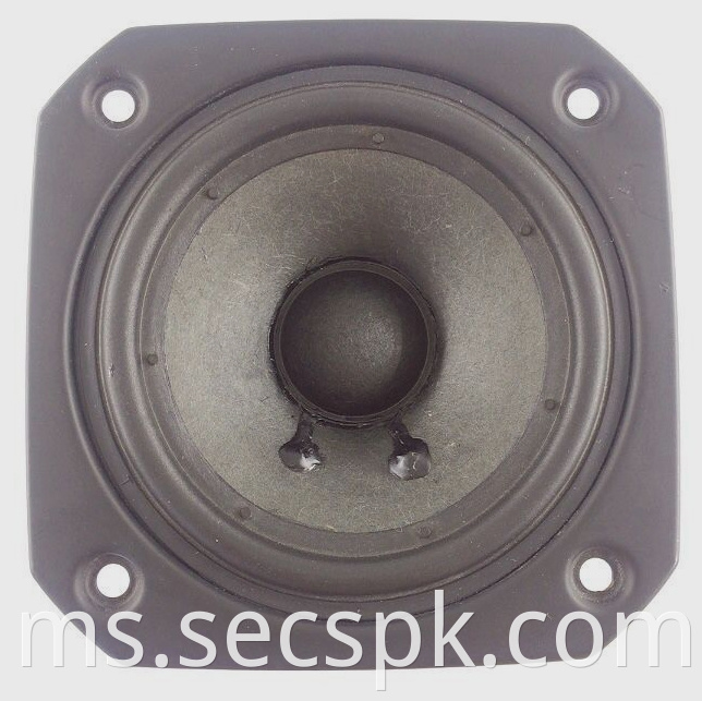 4 Ohm Square Speaker